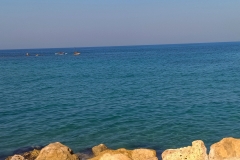 Sea-at-Jaffa
